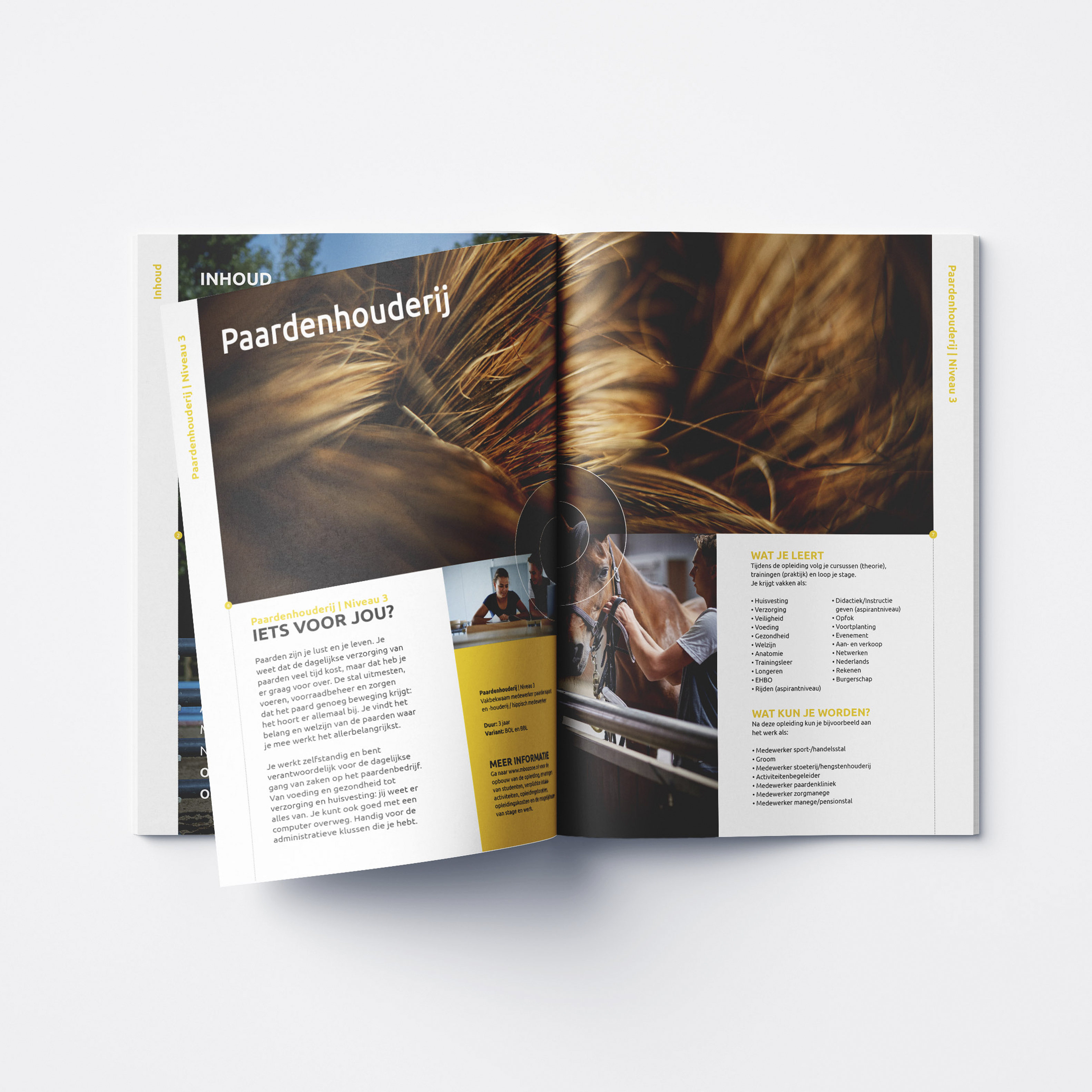 Binnenkant brochure opleiding paardenhouderij zonecollege