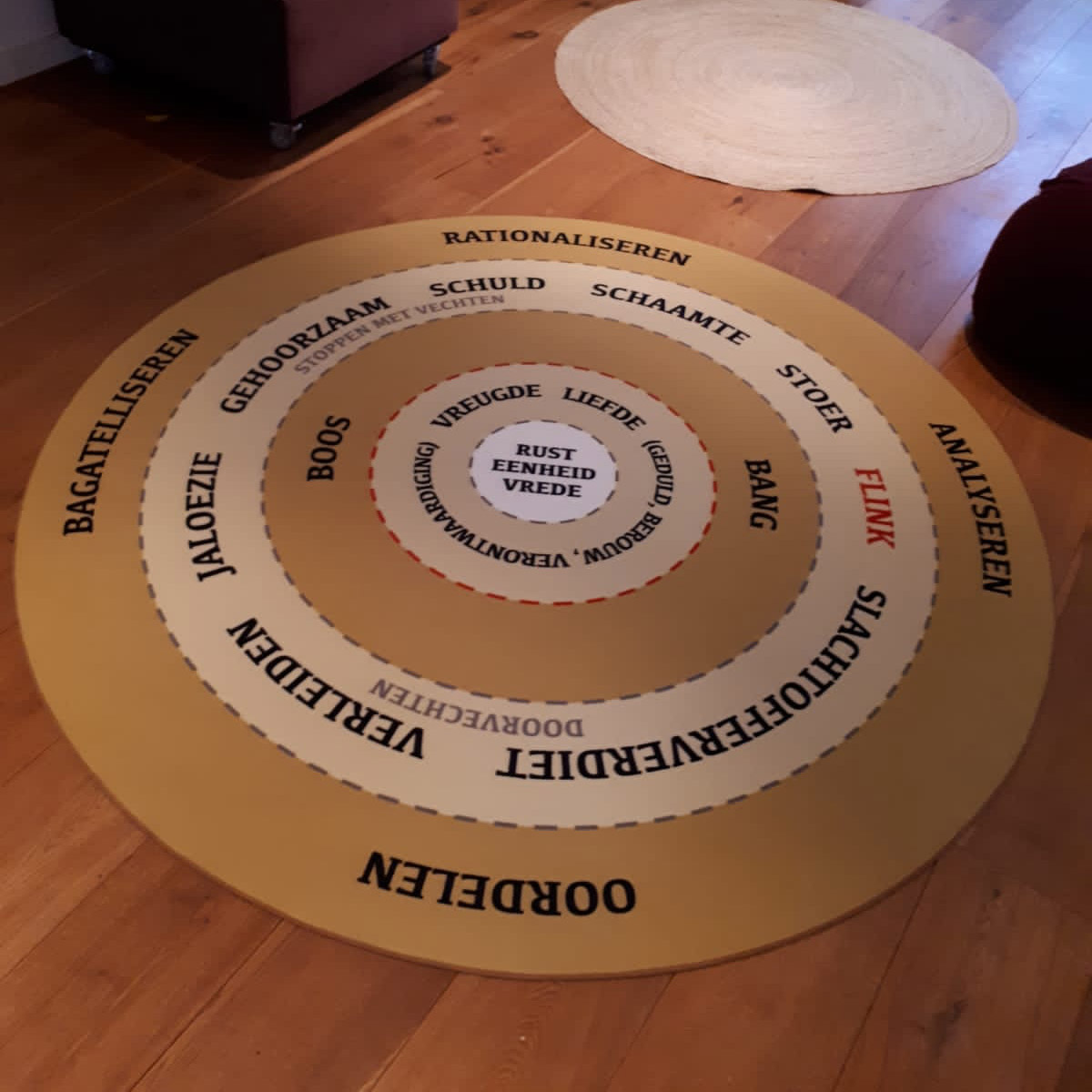 Vloerkleed van boswijk instituut