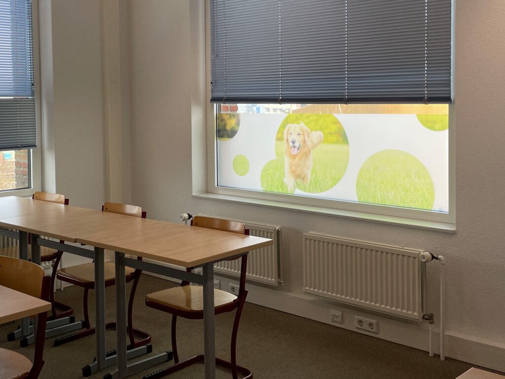 Raamdecoratie en grafische visuals voor Zone.college passend bij het groene onderwijs.